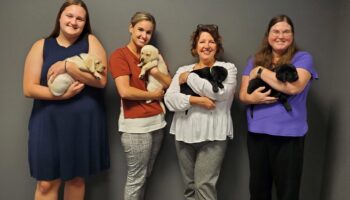 Four Women Stand Side By Side Indoors, Each Smiling And Holding A Puppy; Two Women Hold Yellow Puppies And Two Hold Black Puppies, All Against A Gray Wall Background.