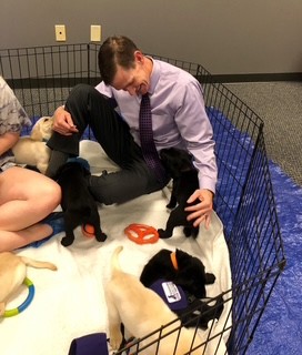 A man in business attire sits inside a playpen on a blue tarp, smiling and petting playful puppies of various colors. Another person sits nearby, partially out of the frame. Puppy toys are scattered around.