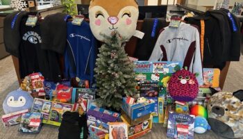 A Small Decorated Christmas Tree Is Surrounded By Various Toys, Stuffed Animals, Board Games, Books, And Clothing, Including Champion Sweatshirts. A Large Reindeer Plush Sits Behind The Tree. The Scene Is Indoors.